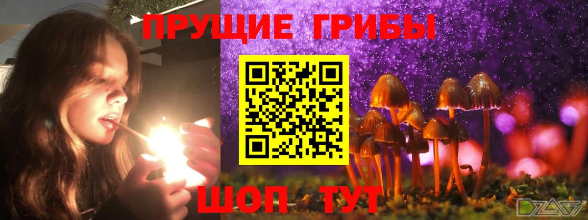 Галлюциногенные грибы мухоморы  Вход с VPN  Галлюциногенные грибы прущие грибы  Новочебоксарск 
